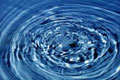 InFocus-Solutions Dienstleistungs-Portfolio
